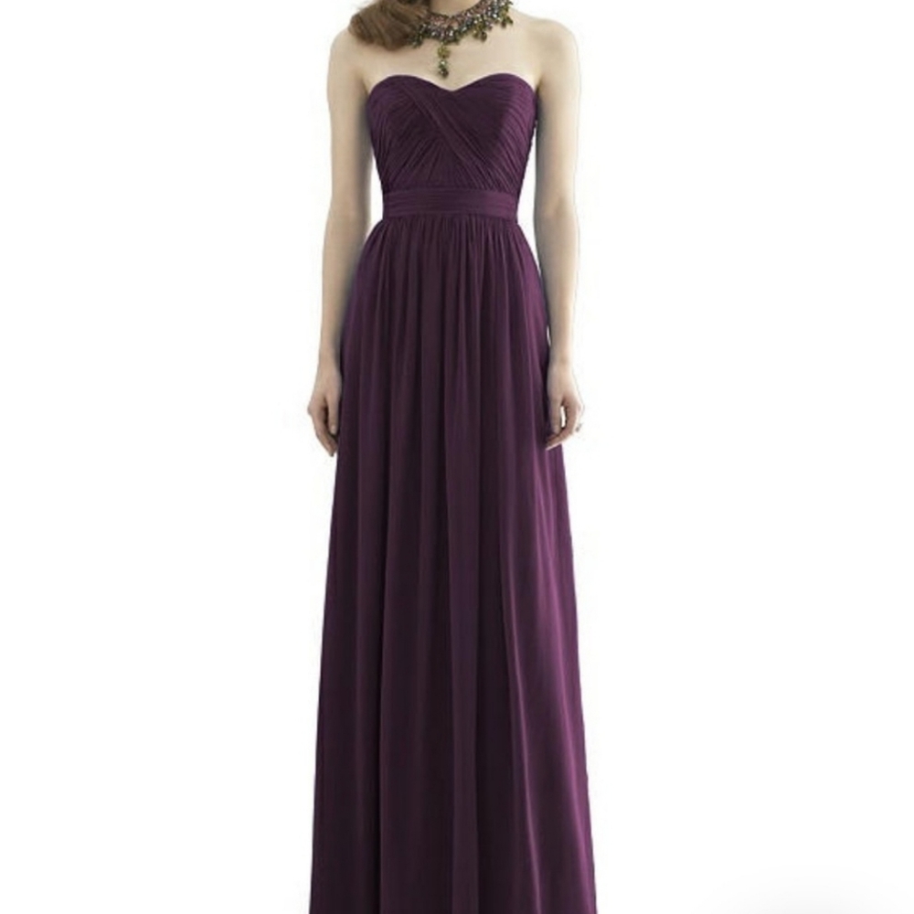 NWT dessy dress